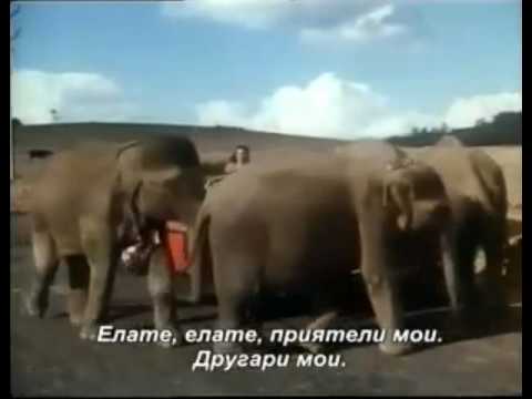 صديقي الفيل اول فيلم هندي على القناة السعوديه 