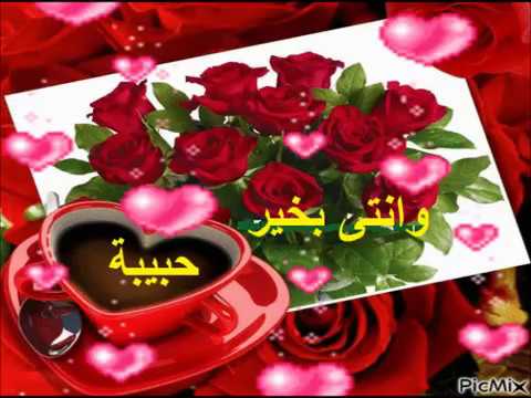 عيد ميلاد سعيد حبيبتي حبيبة 