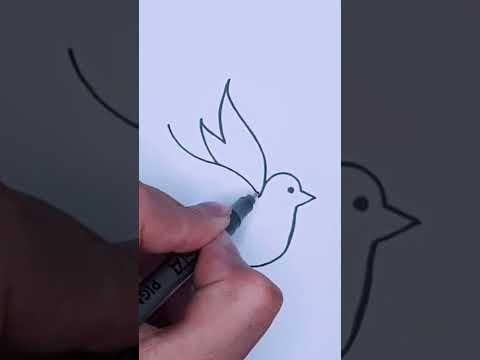 كيفية رسم عصفور يطير بسهولة خطوة بخطوة 