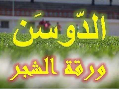 داوسون ليف، جديد 2018، شريحة فلاش النظام 