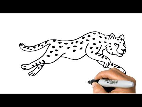 How To DRAW A CHEETAH Easy Step By Step Animal Drawing 