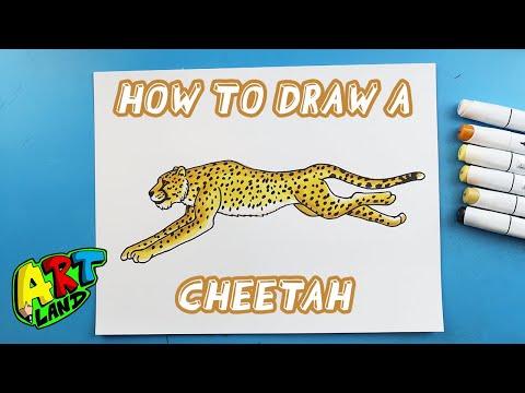 How To Draw A CHEETAH 
