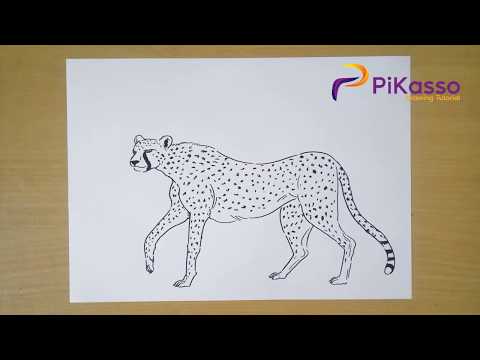 How To Draw Cheetah Step By Step 