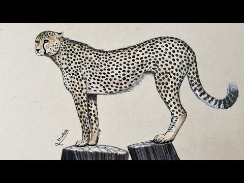 كيفية رسم الفهد بالالوان الخشبية 