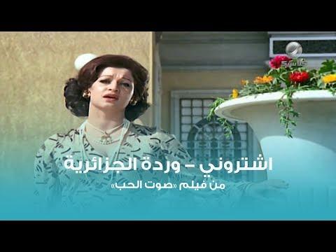 لقد اشتروا لي وردة الجزائرية إشتروني وردة 