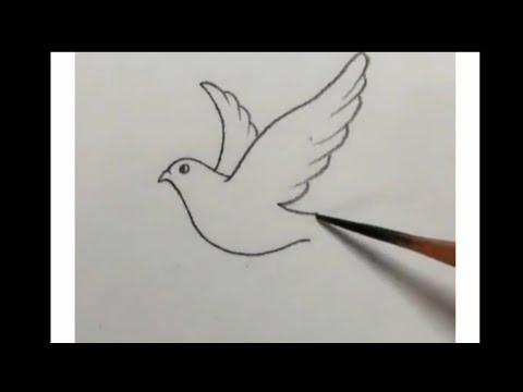 كيفية رسم حمامة السلام بطريقة مبسطة وسهلة جدا 
