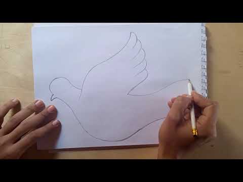 تعليم رسم رسم حمامه بسهوله للاطفال والمبتدئين How To Draw A Pigeon For Children And Beginners 