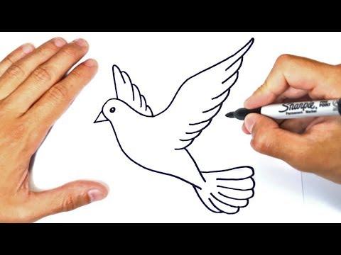 How To Draw A Dove Step By Step Dove Drawing Lesson 