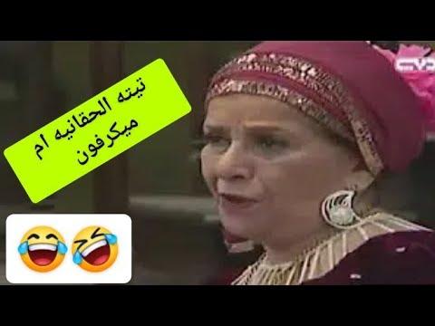 لا تحمي التمساح، هيا 