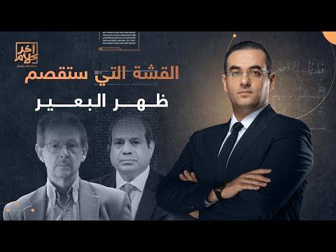 تصريح خطير جدا البروفيسور روبرت بيع السيسي لأصول مصر هو القشة التي ستقصم ظهر البعير 