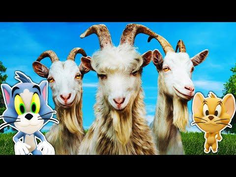 محاكي التيس النسخة الجديدة ضحك حتى البكاء Goat Simulator 3 