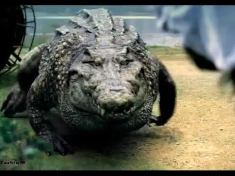 فيلم الرعب التمساح القاتل اكل لحوم البشر كامل Crocodile Full Movie ᴴᴰ 