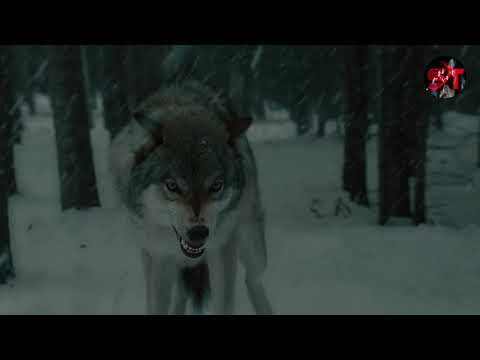 فيلم Attack of the Snow Wolves هو فيلم أكشن ومغامرة رهيب 