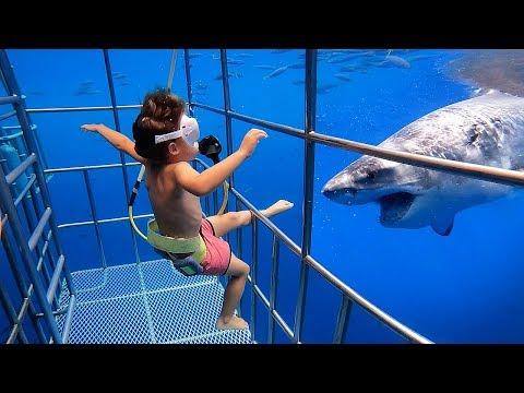 5 YR OLD Scuba Dives With GREAT WHITE SHARKS In Mexico 