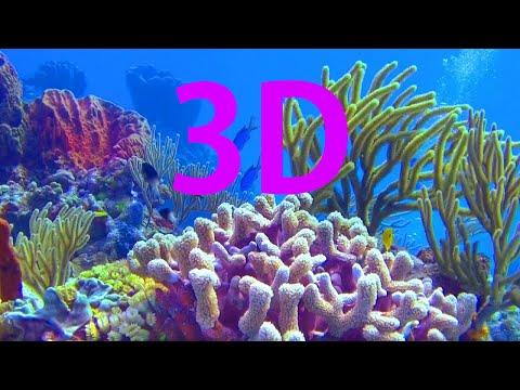 In 3D The World Beneath The Ocean A Underwater 3D Channel Film 