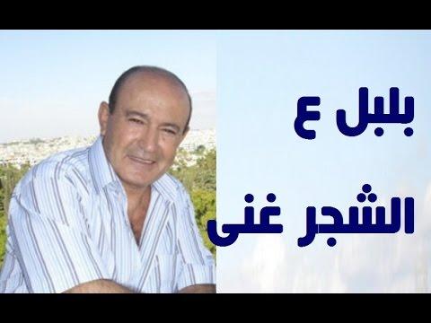 خليل، وصفت العندليب على الشجر بالأغنية 