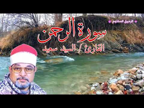 سورة الرحمن القارئ الشيخ السيد سعيد 