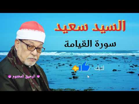 سورة القيامة للقارئ الشيخ السيد سعيد 