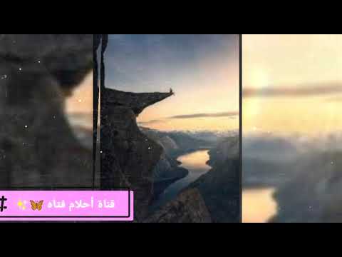 والله أدركت أنه لولا موسيقى منصور السالمي أغنية أعرفها ستجبر عقلي 