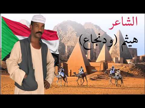 الشاعر هيثم ود نجا 