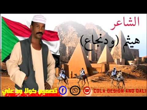 الشاعر هيثم ودناجة 