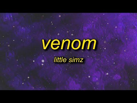 Little Simz Venom Lyrics It S A Woman S World So To Speak Venom 