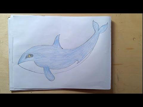 تعليم الرسم رسم حوت خطوة بخطوة للاطفال والمبتدئين Drawing A Whale Is Very Easy 
