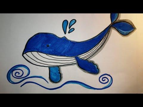 تعلم طريقة رسم حوت Learn How To Drwa A Whale 