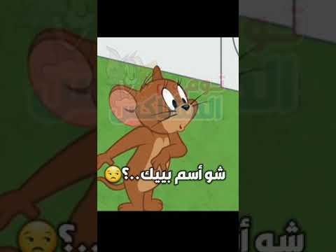 حالات واتساب اسم مريم توم وجيري ما اسمك مريم التي تعيش منذ زمن طويل مقاطع تيك توك 