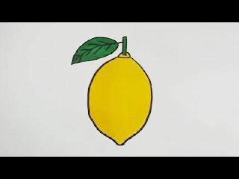 How To Draw Lemon Step By Step L Easy Lemon Drawing 