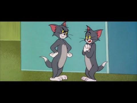 Tom And Jerry 106 Episode Timid Tabby 1957 