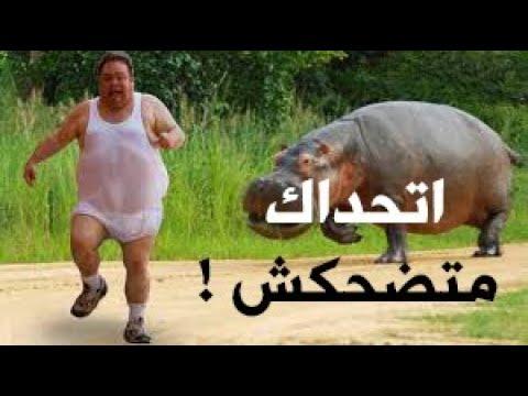 مقاطع مضحكة 1 