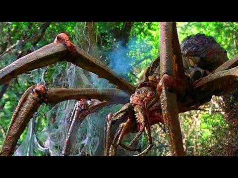 هجوم العنكبوب العملاق فيلم كونج جزيرة الجمجمة Kong Skull Island ᴴᴰ 