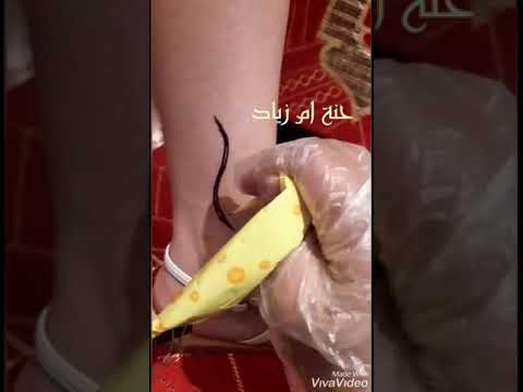 تعرف على إحدى طرق رسم الريشة بالحناء من صاحبة عروس القمر ليزا 