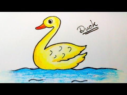 How To Draw Duck For Beginners Duck Drawing Step By Step Duck Drawing Easy 