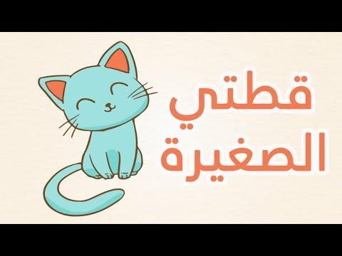 أنشودة الاطفال قطتي صغيرة واسمها نميرة Song To Learn Arabic Qittati Kittati Saghira 