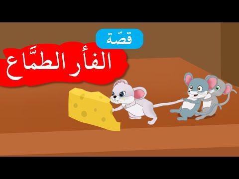 زاد الحكايا قصص اطفال الفأر الطماع 