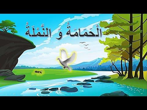 قصة اطفال، قراءة قصة قصيرة، قصص اطفال، قصة قبل النوم للأطفال، كرتون اطفال، قصص اطفال 