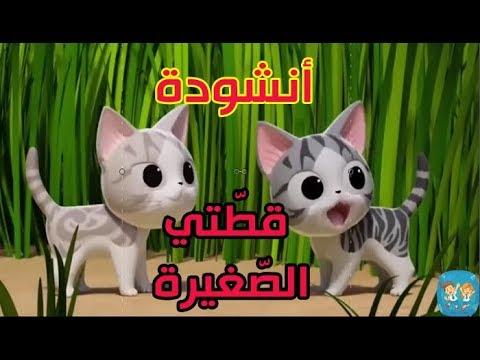 أغنية قطتي الصغيرة إسمها نميرة 