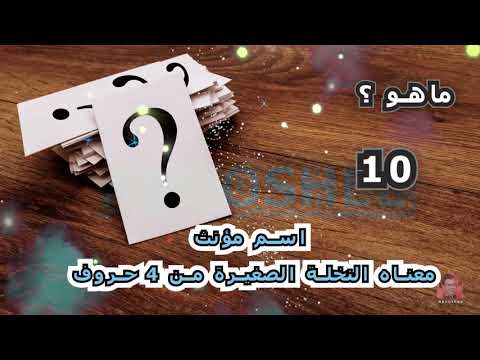 23 أسطورة كرة القدم المرحلة 2 مهاجم ريال مدريد كلمة المرور: الدم العربي من 6 من (*الحروف*) 22 (* (* )*)*) 