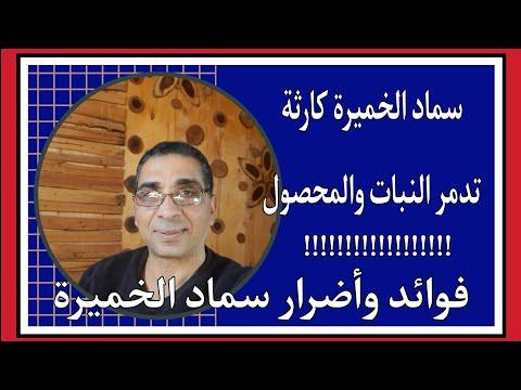 فوائد ومضار سماد الخميرة. سماد الخميرة كارثة تدمر النبات والمحصول 