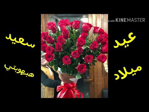 عيد ميلاد سعيد هبة هبة 