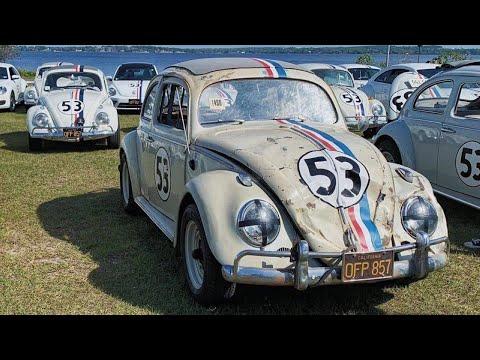 Celebrating 50 Years Of Herbie The Love Bug 