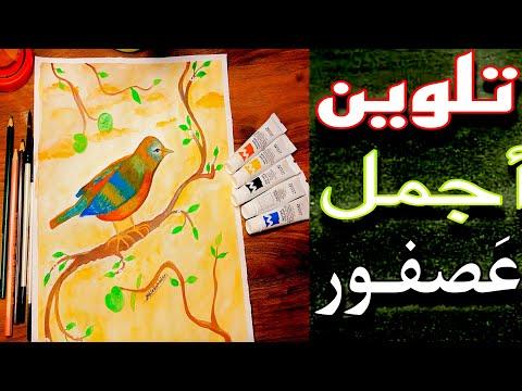 طريقة تلوين رسم عصفور جميل خطوة بخطوة علي غصن الشجر Coloring A Bird On Tree Branch 