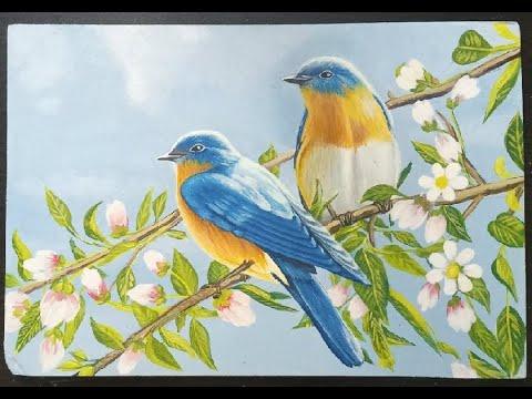 رسم عصافير ملونه بالألوان الأكريليك خطوة بخطوه How To Draw Colorful Birds In Acrylic Step By Step 