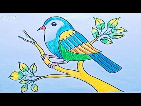 تلوين الطيور للمبتدئين تلوين مشهد الطيور رسم طيور بالالوان كيفية رسم الطيور 