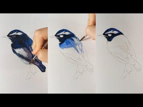 How To Draw A Bird By Water Color رسم عصفور طائر بالألوان المائية Artists Artwork Watercolor 