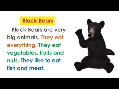 برجراف Black Bears برجراف عن الدببة السوداء 