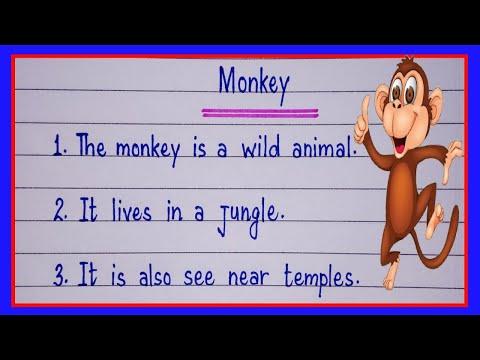 10 Lines On Monkey In English Monkey Essay In English Essay On Monkey In English 