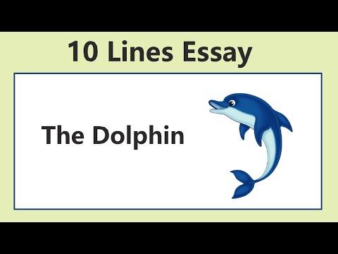 10 أسطر عن الدلفين باللغة الإنجليزية اكتب بضعة أسطر عن الدلفين 